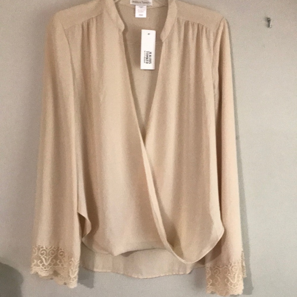 Soft pink sheer blouse